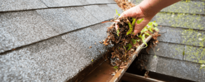Gutter Cleaning in Wellington: What to Do and Why It's Important