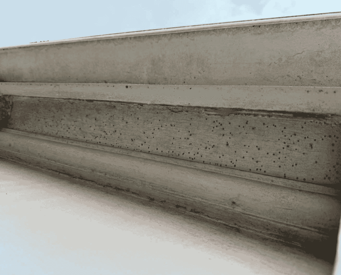 Wellingtons Borer Problem